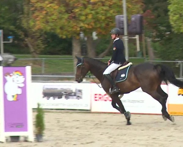 Reitturnier Frankenhof-Sonnefeld/Ofr. 2023