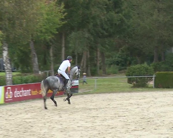 Reitturnier Frankenhof-Sonnefeld/Ofr. 2023