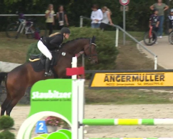 Reitturnier Frankenhof-Sonnefeld/Ofr. 2023
