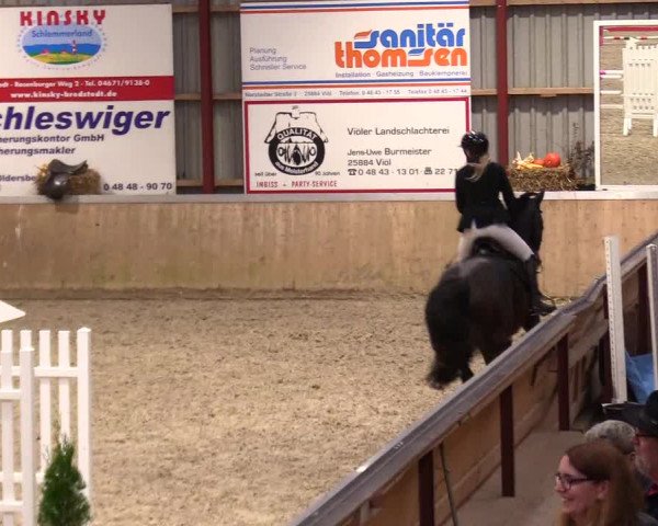 Reitturnier Behrendorf 2023