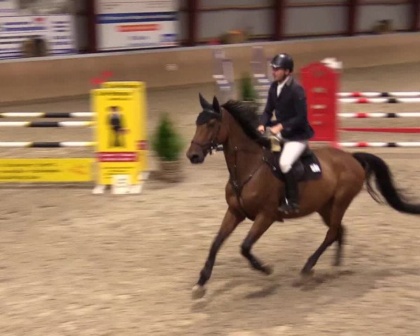 Reitturnier Behrendorf 2023