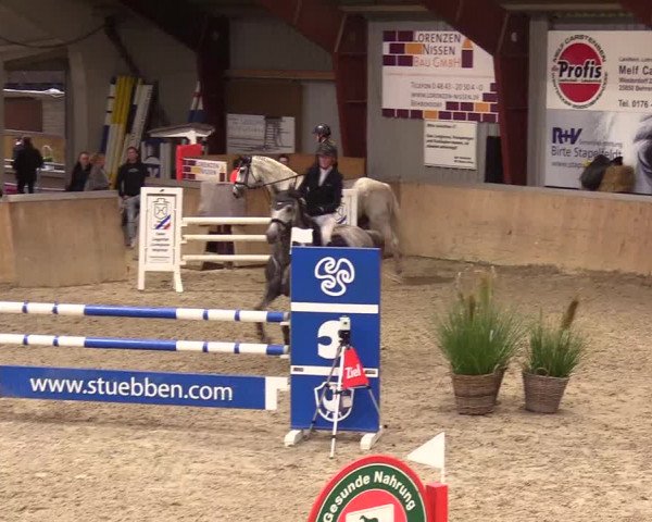 Reitturnier Behrendorf 2023