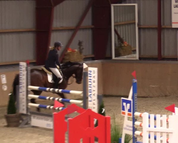Reitturnier Behrendorf 2023