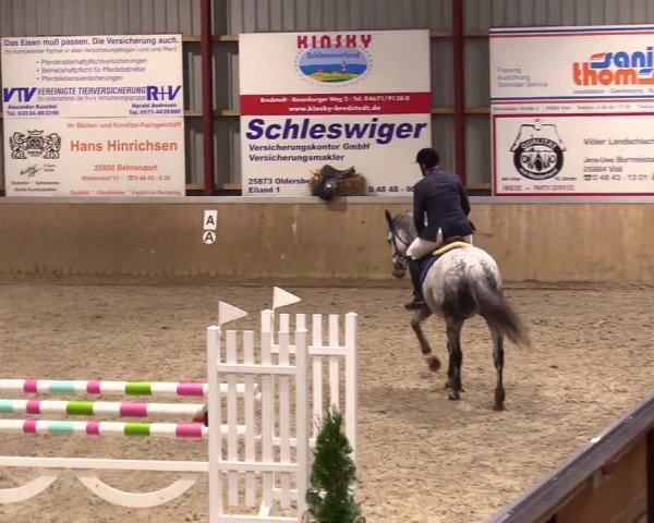 Reitturnier Behrendorf 2023