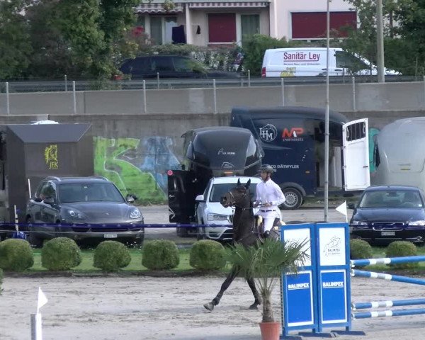 Reitturnier Basel/Schänzli 2023