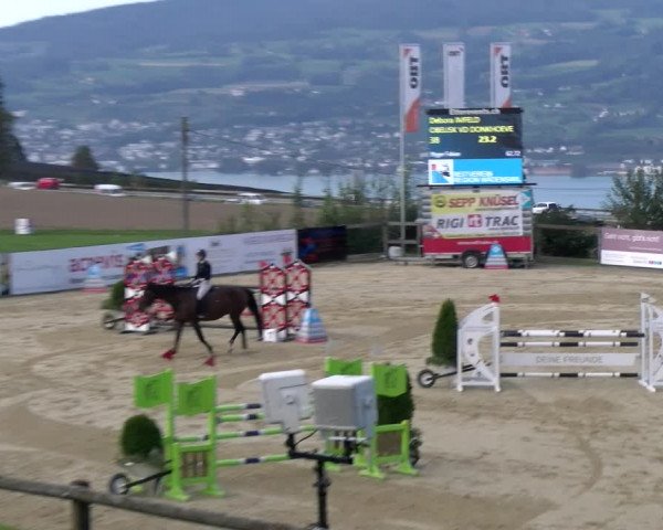 Reitturnier Wädenswil 2023
