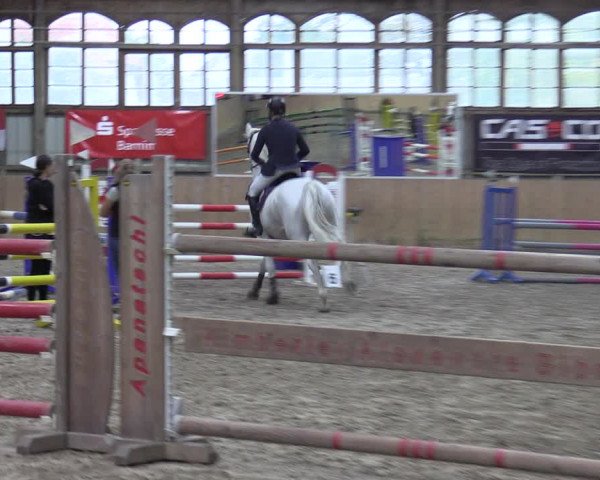 Reitturnier Elisenau 2023