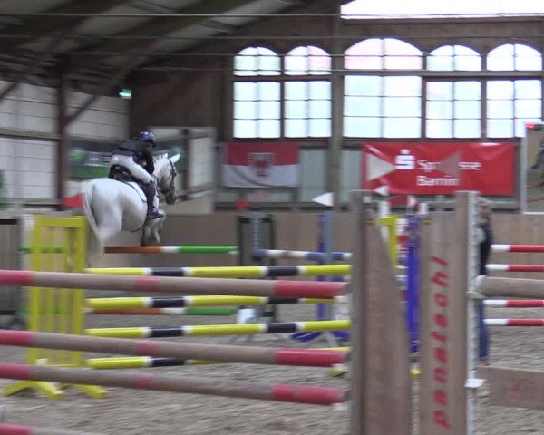 Reitturnier Elisenau 2023