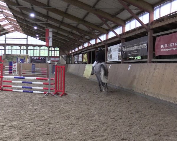 Reitturnier Elisenau 2023