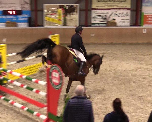 Reitturnier Behrendorf 2023