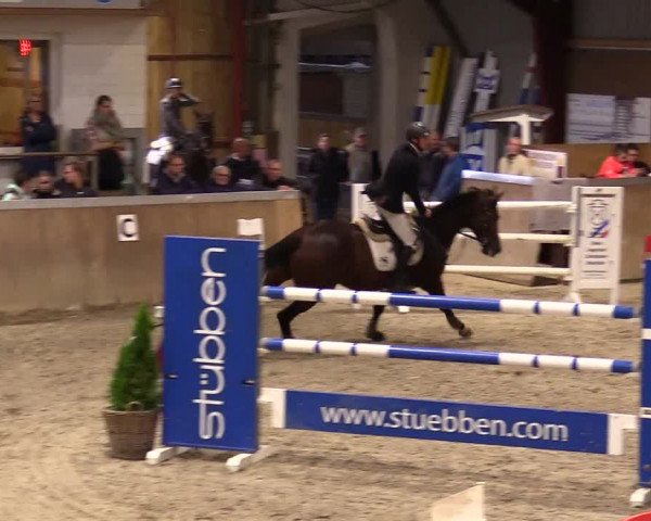 Reitturnier Behrendorf 2023