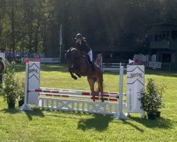 jumper K-Lotta (Hanoverian, 2018, from Kétanou)