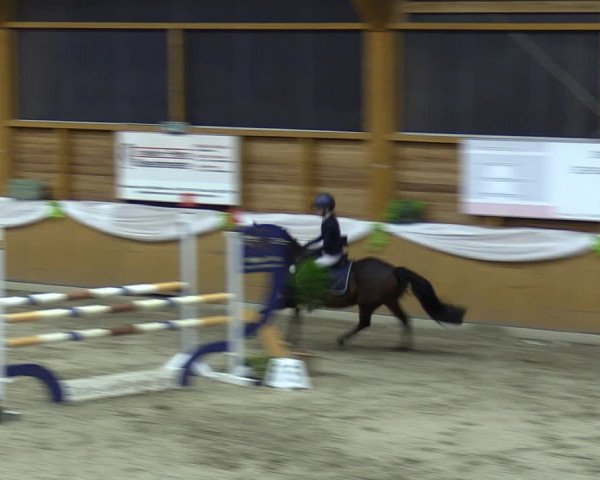 Reitturnier Xanten - Reitanlage Miss 2023