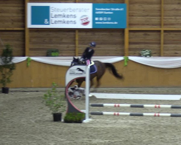 Reitturnier Xanten - Reitanlage Miss 2023