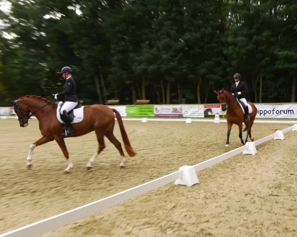 Reitturnier Ruhlsdorf 2023