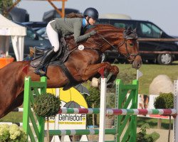 jumper Cool Girl Mj (Holsteiner, 2013, from Corrado I)