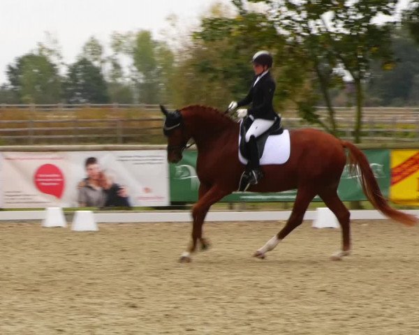 Reitturnier Ruhlsdorf 2023