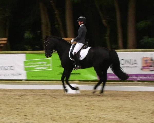 Reitturnier Ruhlsdorf 2023