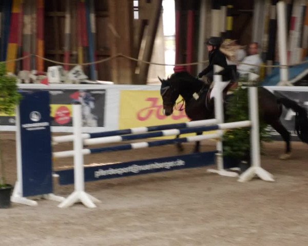 Reitturnier Böblingen 2023