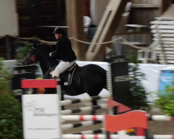 Reitturnier Böblingen 2023