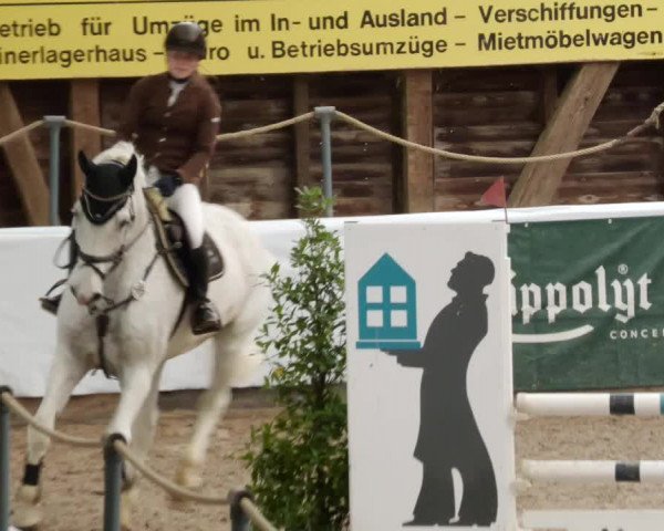 Reitturnier Böblingen 2023