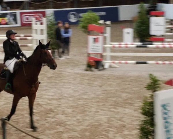 Reitturnier Böblingen 2023