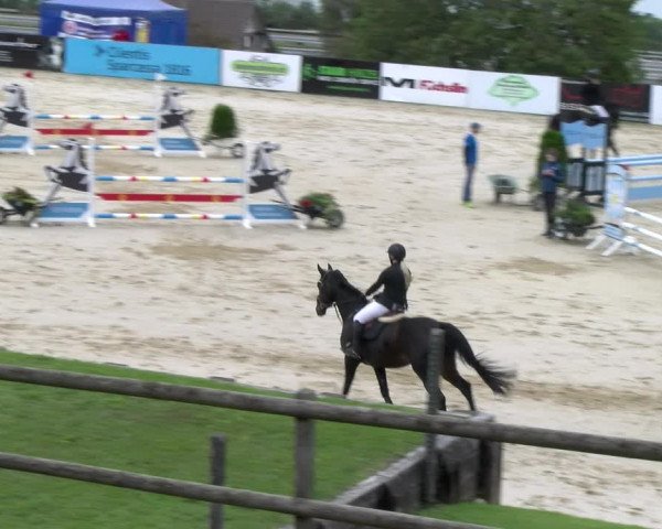 Reitturnier Wädenswil 2023