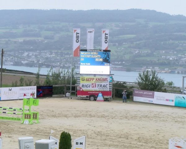 Reitturnier Wädenswil 2023