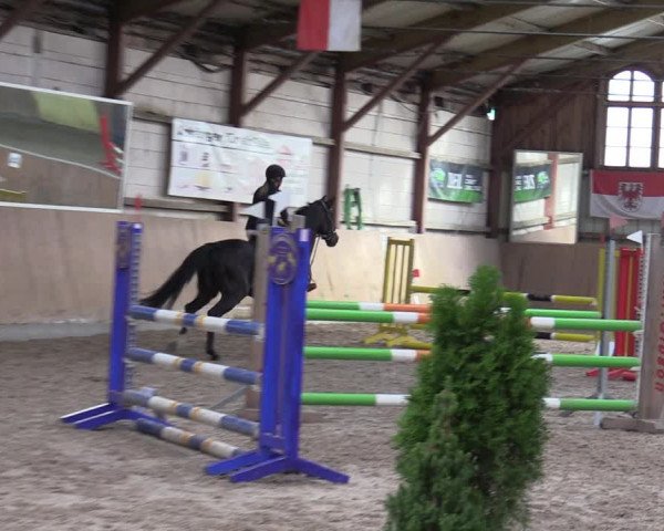 Reitturnier Elisenau 2023