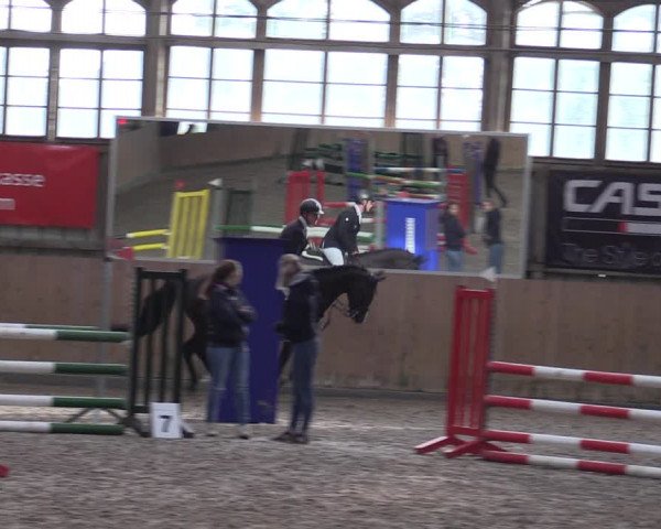 Reitturnier Elisenau 2023