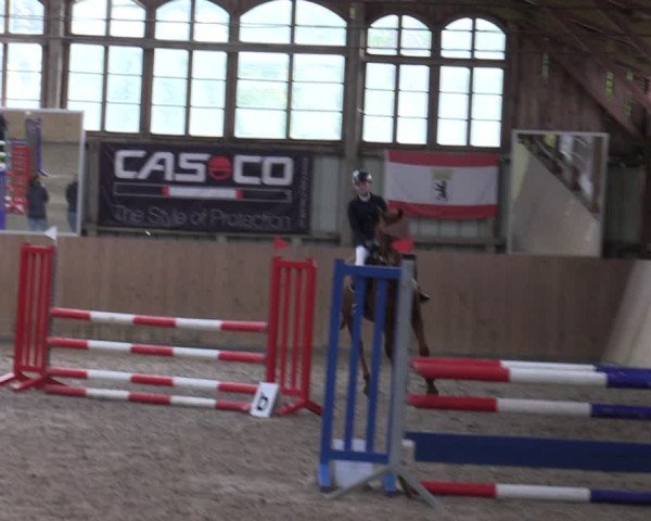 Reitturnier Elisenau 2023