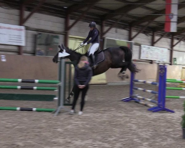 Reitturnier Elisenau 2023