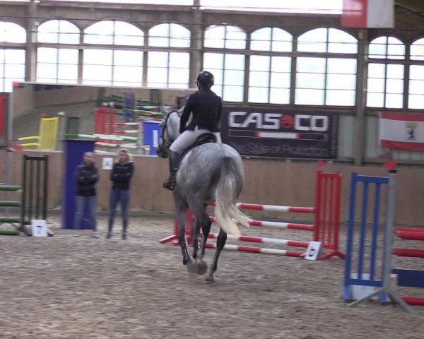 Reitturnier Elisenau 2023