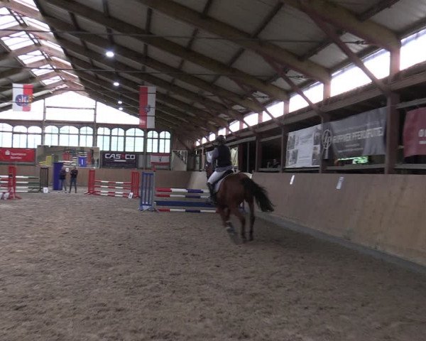 Reitturnier Elisenau 2023