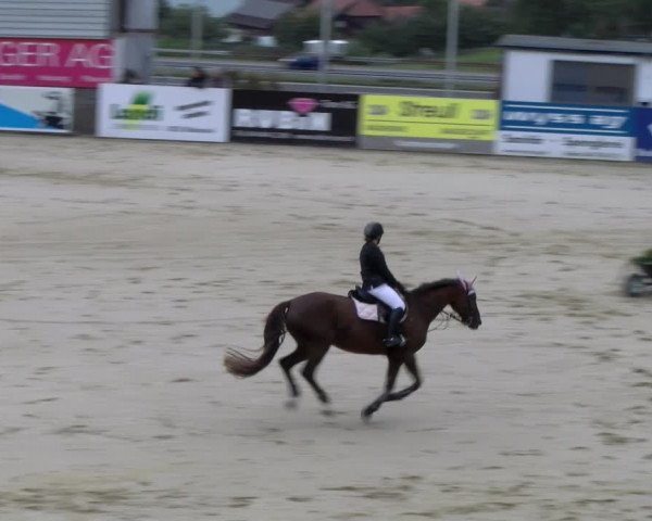 Reitturnier Wädenswil 2023