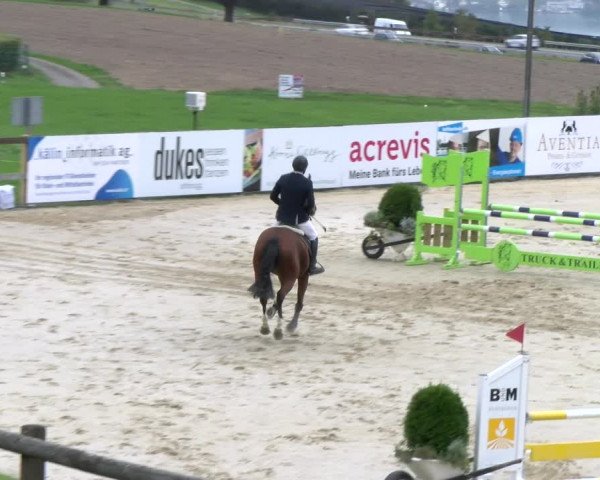 Reitturnier Wädenswil 2023