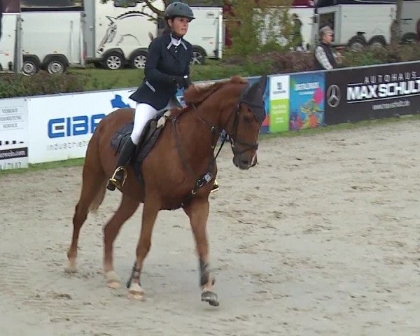 Reitturnier Frankenhof-Sonnefeld/Ofr. 2023