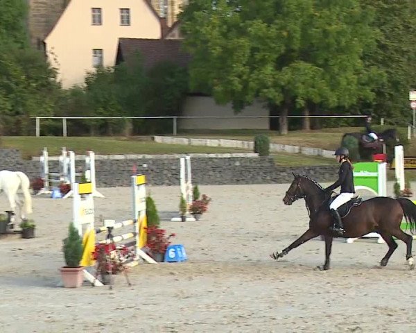 Reitturnier Frankenhof-Sonnefeld/Ofr. 2023