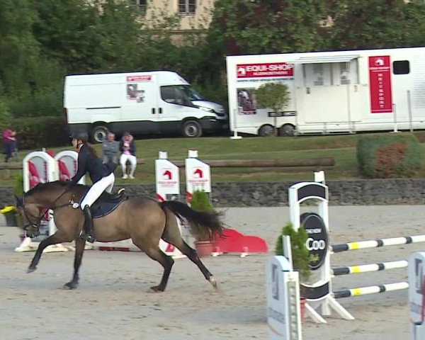 Reitturnier Frankenhof-Sonnefeld/Ofr. 2023
