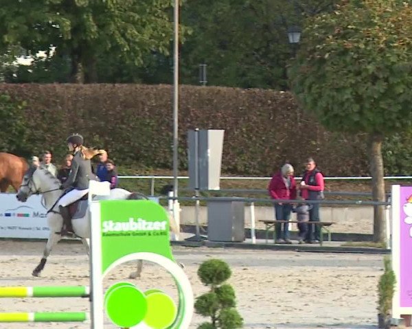Reitturnier Frankenhof-Sonnefeld/Ofr. 2023