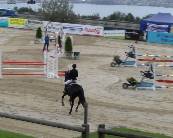 Reitturnier Wädenswil 2023