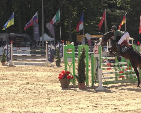 Reitturnier Ranshofen - Braunau am Inn 2023