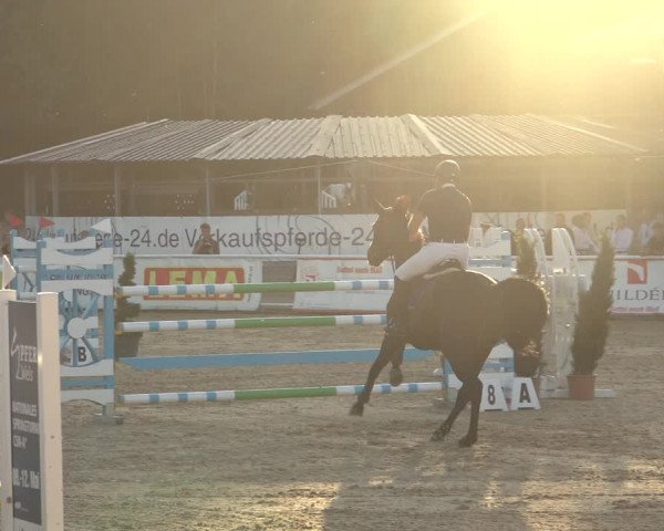 Reitturnier Ranshofen - Braunau am Inn 2023