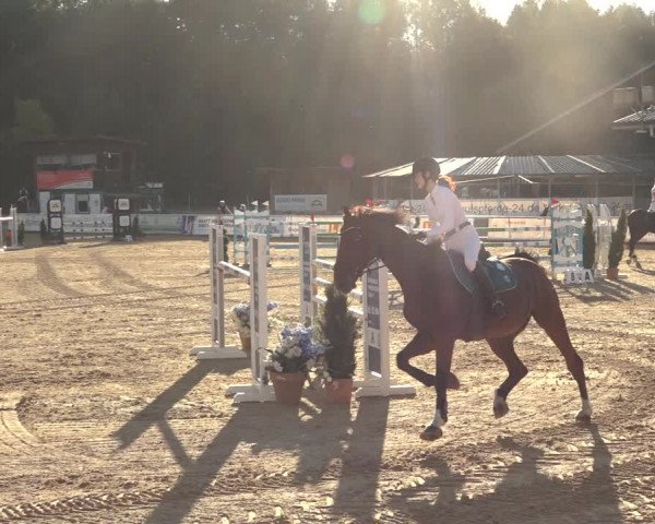 Reitturnier Ranshofen - Braunau am Inn 2023