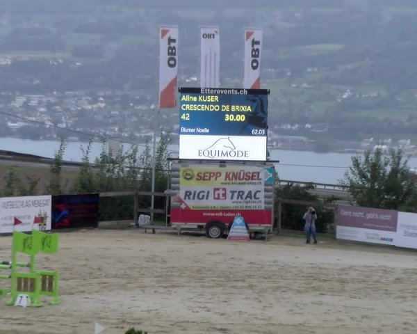 Reitturnier Wädenswil 2023