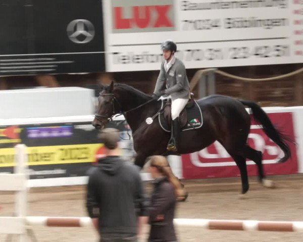 Reitturnier Böblingen 2023