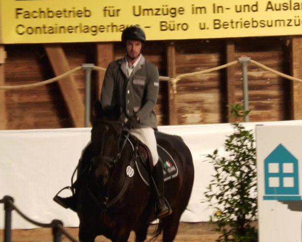 Reitturnier Böblingen 2023