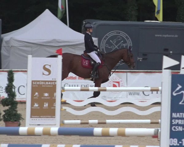 Reitturnier Ranshofen - Braunau am Inn 2023