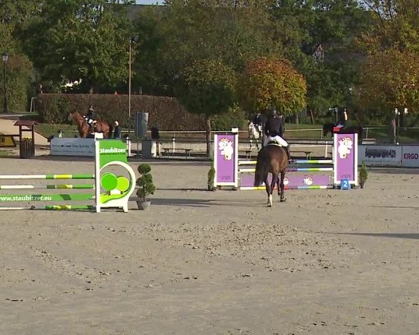 Reitturnier Frankenhof-Sonnefeld/Ofr. 2023