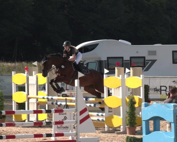 Reitturnier Ranshofen - Braunau am Inn 2023